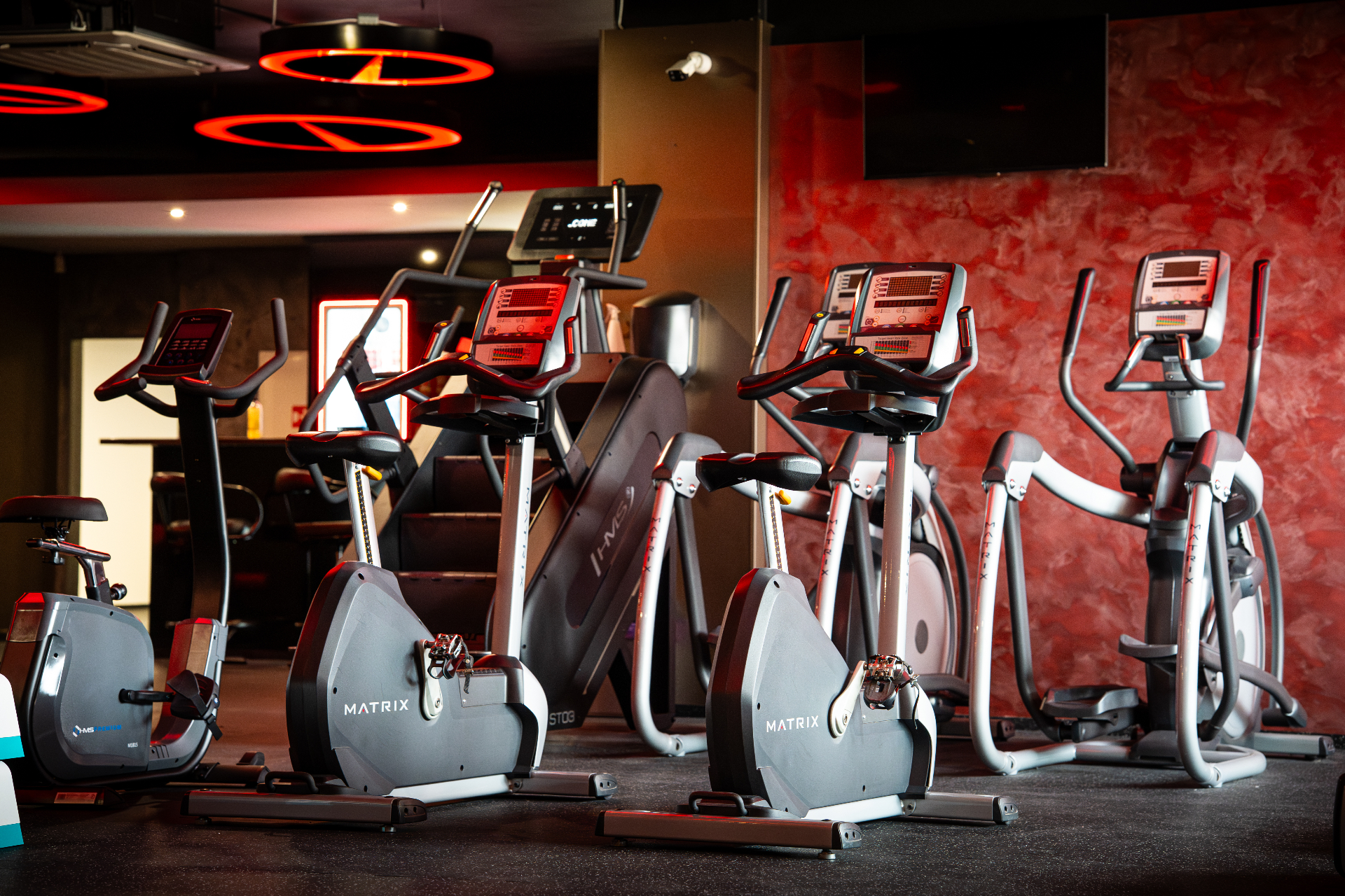 Total Body Workout